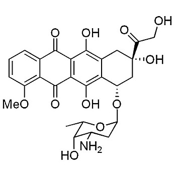 Doxorubicin [2mM]