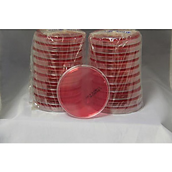 Mannitol Salt Agar