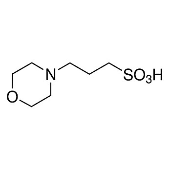 MOPS (3-[N-Morpholino] propane-sulfonic acid)