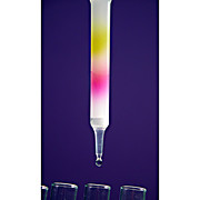 Size Exclusion Chromatography Kit