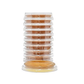 Malt Extract Agar with Lecithin and Tween