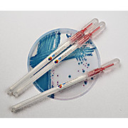 E.coli Snap Stick