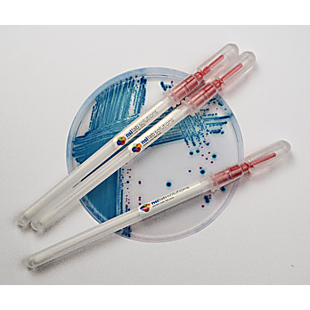 E.coli Snap Stick