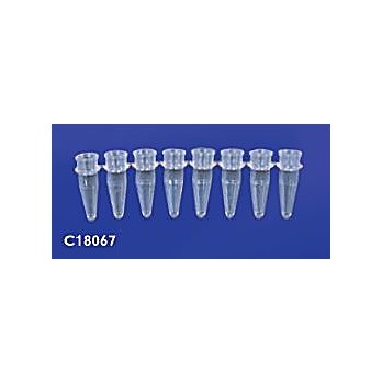 1 x 8 strip domed PCR caps, in an assortment of colors, are designed to fit 8 strip PCR tubes and 96 well PCR microplates.