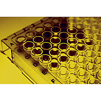 Immunotag™ Rat PDGF-BB (Platelet-Derived Growth Factor-BB) ELISA Kit