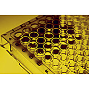 Immunotag™ Mouse CGRP (Calcitonin Gene Related Peptide) ELISA Kit