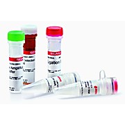 Duolink® flowPLA Detection Kit - Red