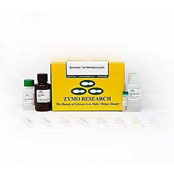 Zymoclean™ Gel RNA Recovery Kit