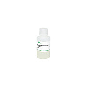 MagBead DNA/RNA Wash 1