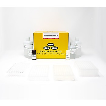 EZ-96 DNA Methylation-Lightning Kit