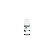 MagClearing Beads