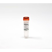 M-Dilution Buffer-Gold