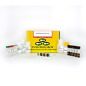 EZ DNA Methylation-Startup Kit