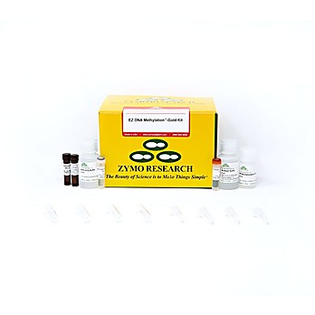 EZ DNA Methylation-Gold Kit