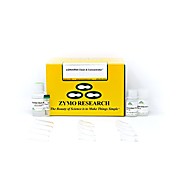 ssDNA/RNA Clean & Concentrator