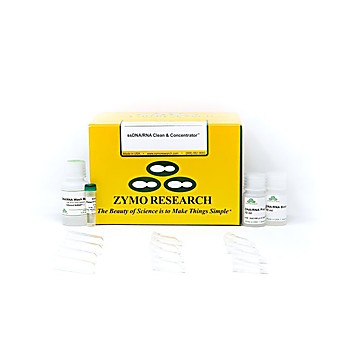 ssDNA/RNA Clean & Concentrator