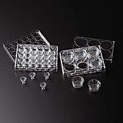 Permeable Cell Culture Inserts