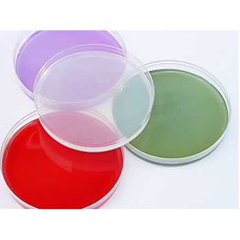 Tryptic Soy Agar (TSA) 5% SB/Macconkey Agar Biplate