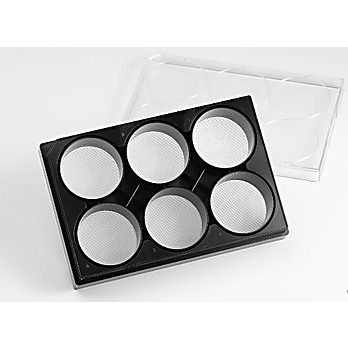 Corning 6 Well Black Clear Round Bottom Ultra-Low Attachment Micro-Cavity Plate