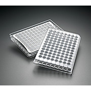 MultiScreenHTS GV Filter Plate