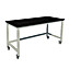 Fixed Height Heavy Duty Steel Tables with Epoxy Work Surfaces