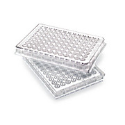 MultiScreen-HV Filter Plates
