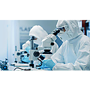 Sterile 12 Ambidextrous Class 100 LP Nitrile Gloves