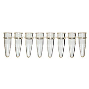 Amplifyt® PCR Strip Tubes (Tubes Only)
