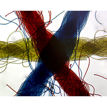 Prepared Microscope Slide,Cross Colored Threads. W.M.