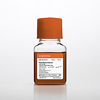 Fetal Bovine Serum, Premium, USA, Ultra Low-IgG