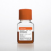 Fetal Bovine Serum (FBS), Premium, USA, 50mL