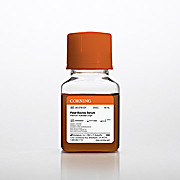 Fetal Bovine Serum, Premium, Australia 50mL