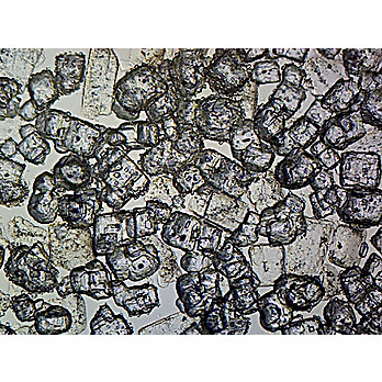 Prepared Microscope Slide,Salt Crystals Microscope Slide