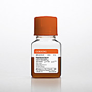 Fetal Bovine Serum, Premium, USA, Charcoal Stripped 50mL