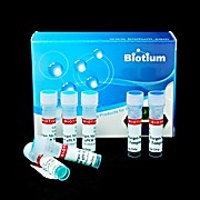 Forget-Me-Not™ EvaGreen® qPCR Master Mix (2-Color Tracking)