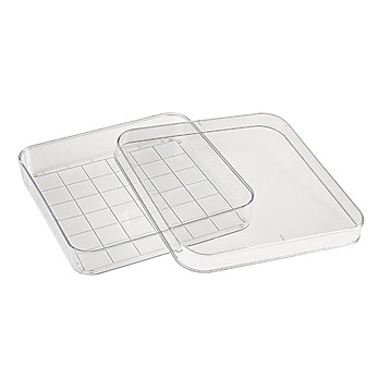 Square Petri Dish w/ Grid