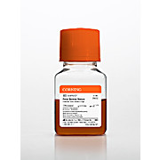 Fetal Bovine Serum, Premium, NZ ROW 50mL