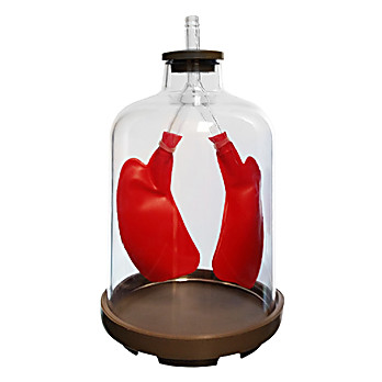 Lung Apparatus, Basic