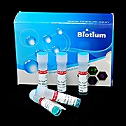 Forget-Me-Not™ EvaGreen® qPCR Master Mix (Premixed Low ROX)