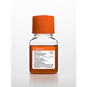 Fetal Bovine Serum, Regular, Canada 100mL