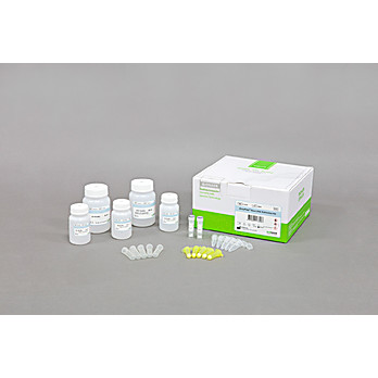 AccuPrep® Stool DNA Extraction Kit