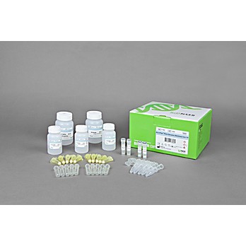 AccuPrep® Plant DNA Extraction Kit