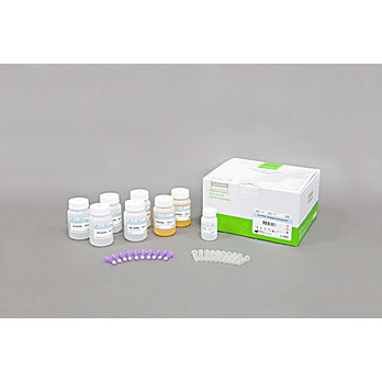 AccuPrep® PCR/Gel Purification Kit