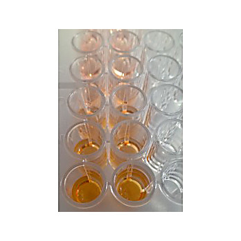 Wst-8 Cell Proliferation Kit