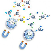 SelfMag Transfection Kits