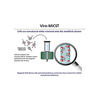 Viro-Micst Transduction Reagent