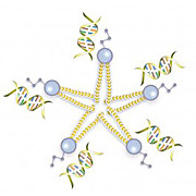 Verofect Transfection Reagent