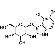 X Gal Substrate