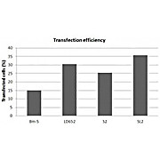 Flyfectin Transfection Reagent