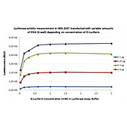 Luciferase Assay Kit